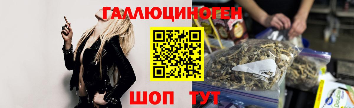 Галлюциногенные грибы Psilocybe Южноуральск